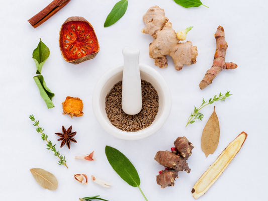 Ancient Knowledge – How Our Foremothers Practiced Medicine with Herbs