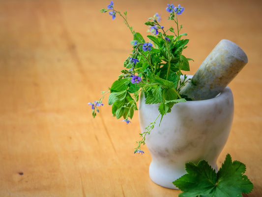 Get Your Herbalist On – Seven Safe Herbs for Beginners and How to Use Them