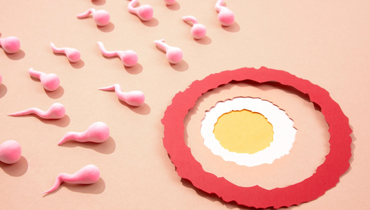 How to Improve Egg and Sperm Quality Naturally (Science-Backed)
