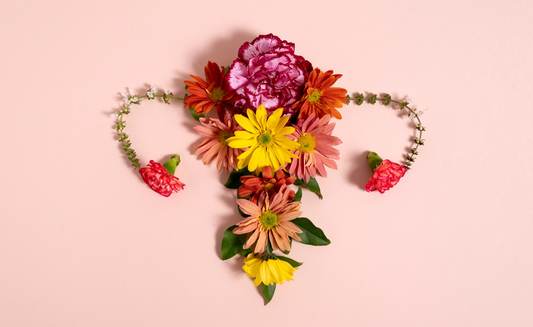 Your Gut Is Talking to Your Ovaries: The PCOS–Microbiome Link You've Never Heard Of