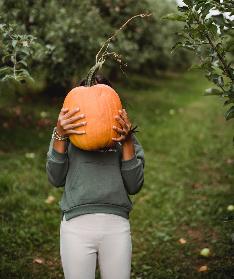 Our Favorite Fall Recipes 2022